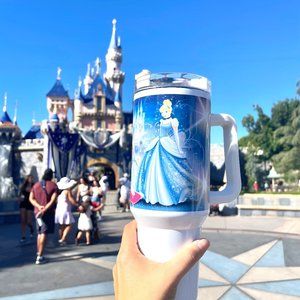 Disney Princess Cinderella Godmother Pumpkin Carving Castle 40 oz tumbler double